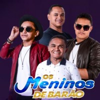 Os meninos de barão
